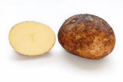 Potato_and_cross_section.jpg
