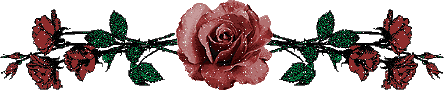 800354433.gif