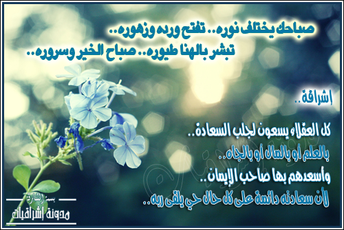 101610211030s6lanuazg.png