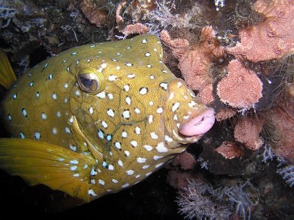 hurghada_10.jpg