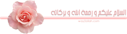 02_30.gif