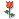 047.gif