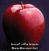 manat-tefa72.jpg