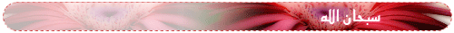RLeYun12160532.gif