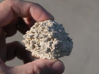 1273606135gom-brim-crust-sideview.jpg