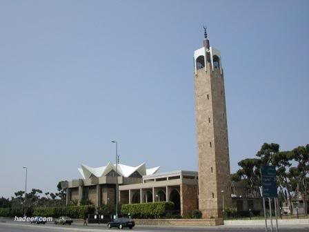 85.jpg