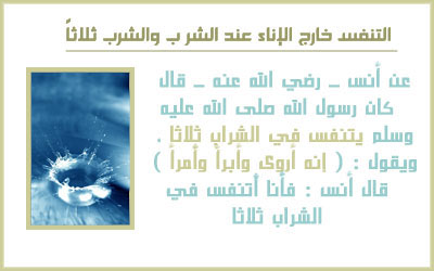 bitaqaar-mahjor-17.jpg