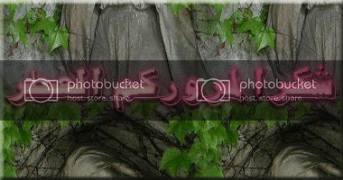 q41.gif