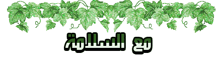 13618228118.gif
