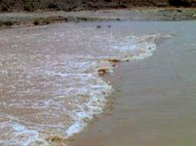 mk43360_mk19960______008.jpg