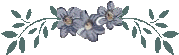 1015.gif