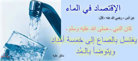 bitaqaar-mahjor-12.jpg