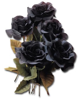 Black_Roses_clrd1.jpg