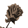 322224.gif
