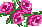 icon31.gif