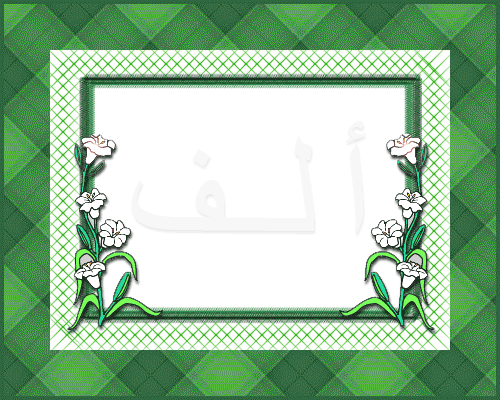 pic4.gif