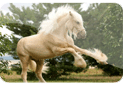 pic-a7snhh.gif