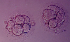 1201293774406866654_5856bfbc5a_m.jpg