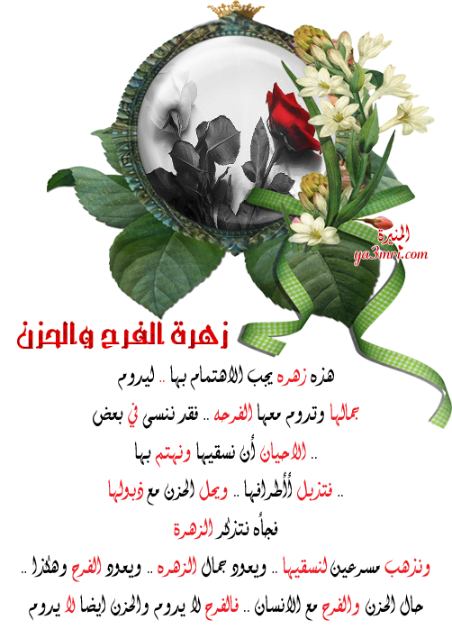 092010040943z1108fl4cv7dr.png