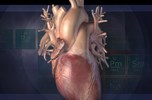 heart-quran.JPG