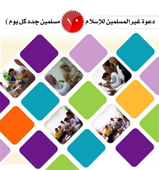pic12.jpg