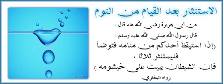 bitaqaar-mahjor-24.jpg