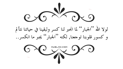i_61e67d8f607.png