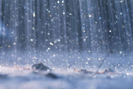 Rain.jpg