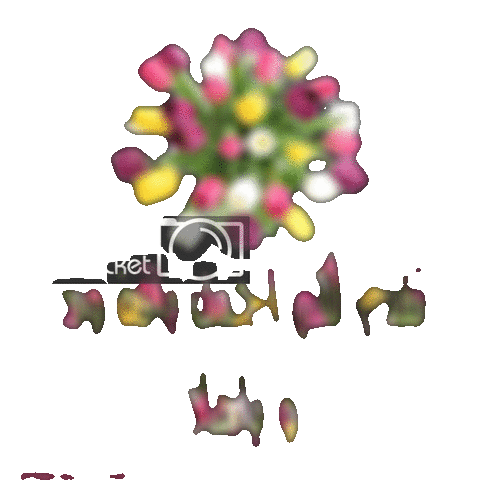 sn3-1065738224.gif
