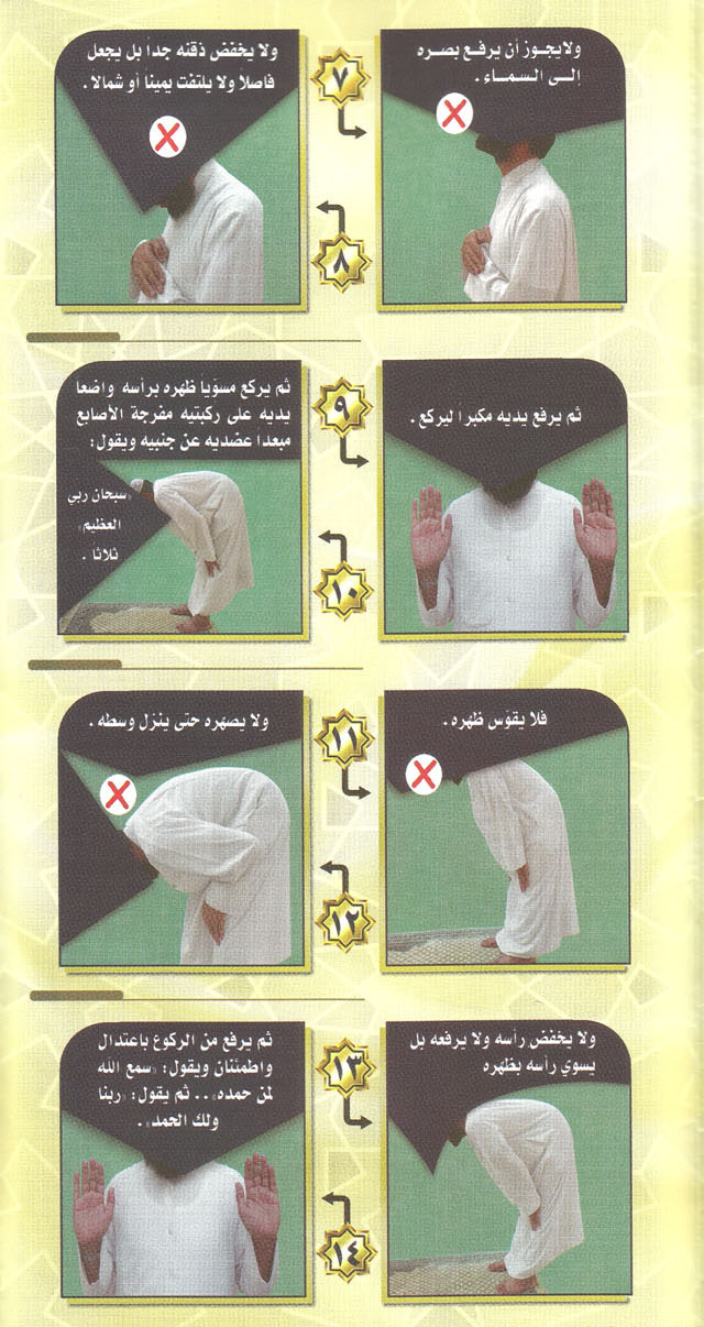 2-5.jpg
