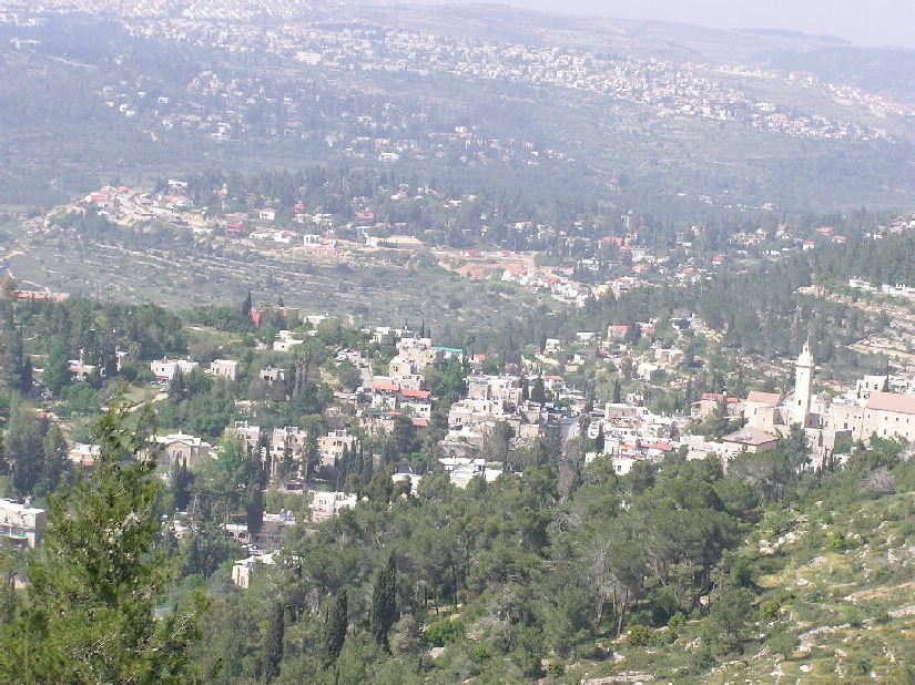 Picture8026.jpg