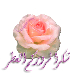 ashefaa-add39121f8.gif