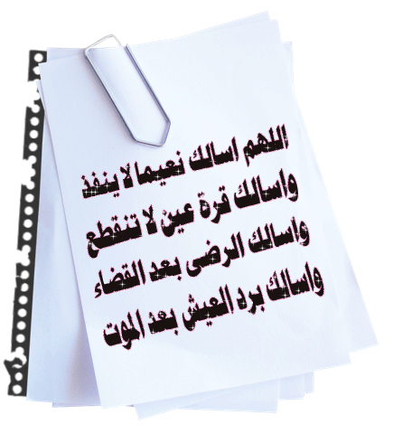 do3a2-loly__h2.gif