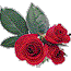 rose08.gif