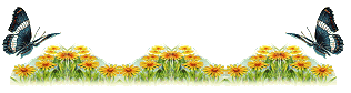 11715613.gif
