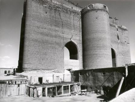 AliShah03.jpg