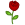 rose.png