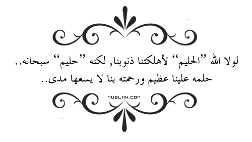 i_366651467d3.png