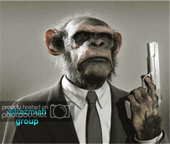 monkey5.jpg