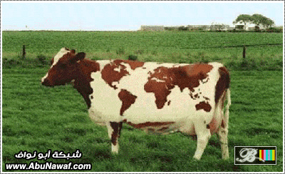 96be1ec48ecc3a1bc311d415b2f4cb89.gif
