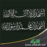 www.alukah.net
