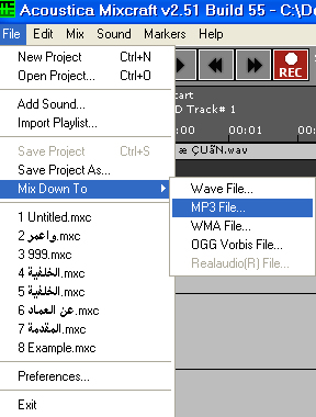 em123_Mixcraft11.jpg