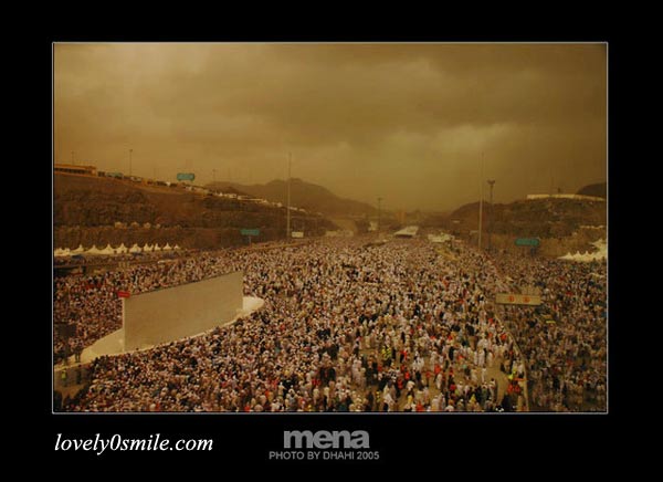 mena-6.jpg