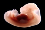 baby_215.JPG