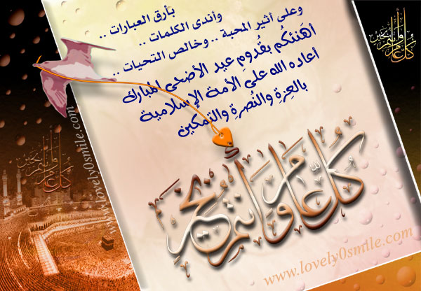 card-5.jpg