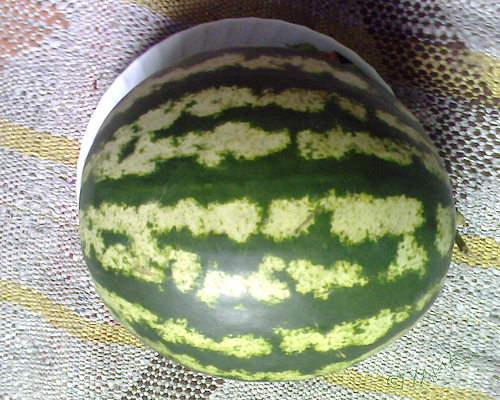 1463055471_4c9323fa44.jpg