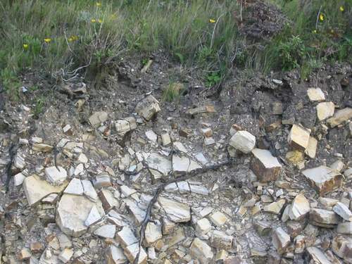 soil_111.JPG