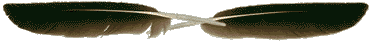 178415a9hvi8a8z8.gif