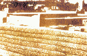ksa-local.387197.jpg