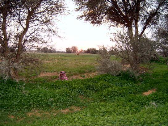 148_81254077440.jpg